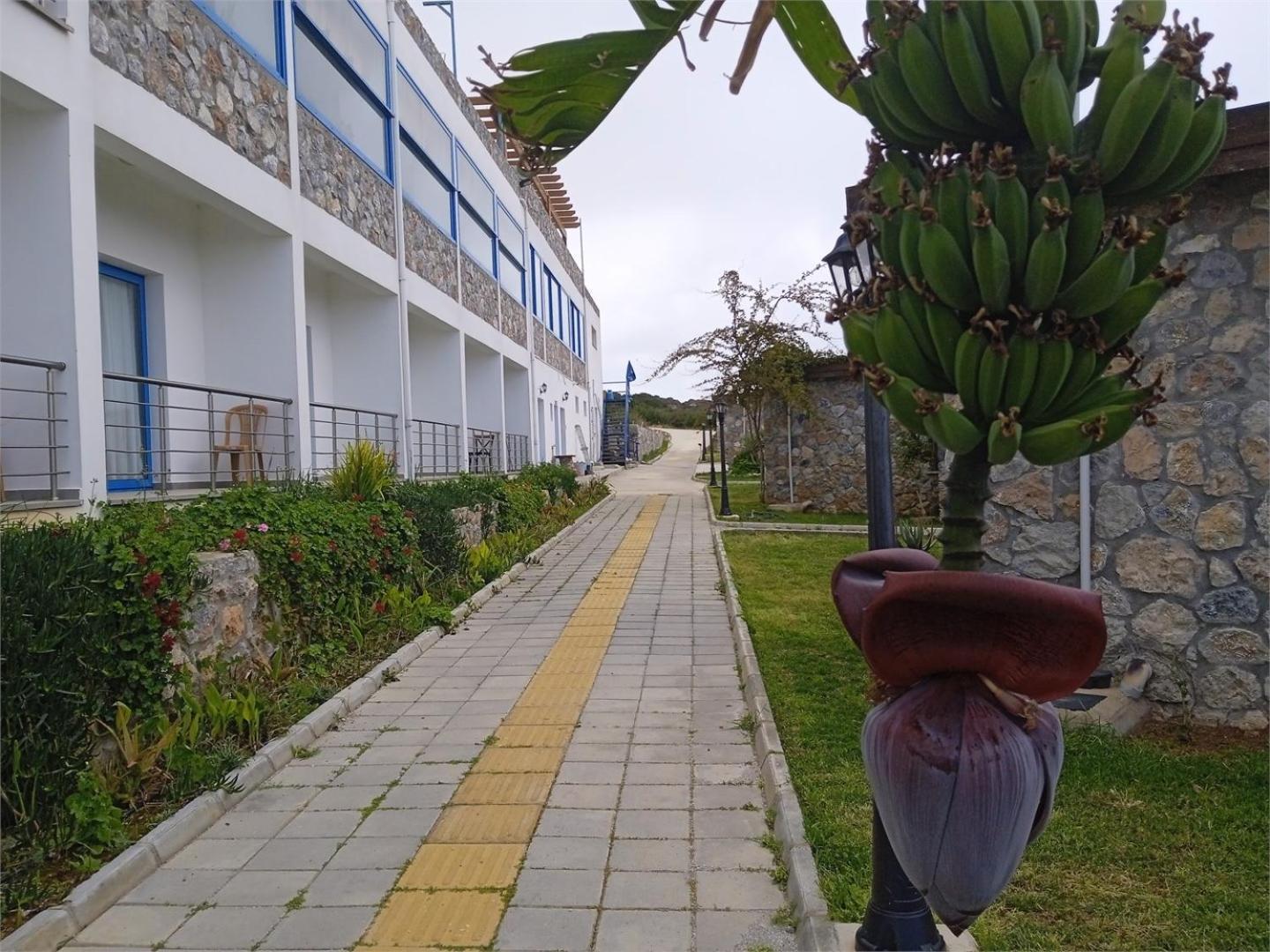 Ardic Agaci Holiday Village ฟามากุสต้า ภายนอก รูปภาพ