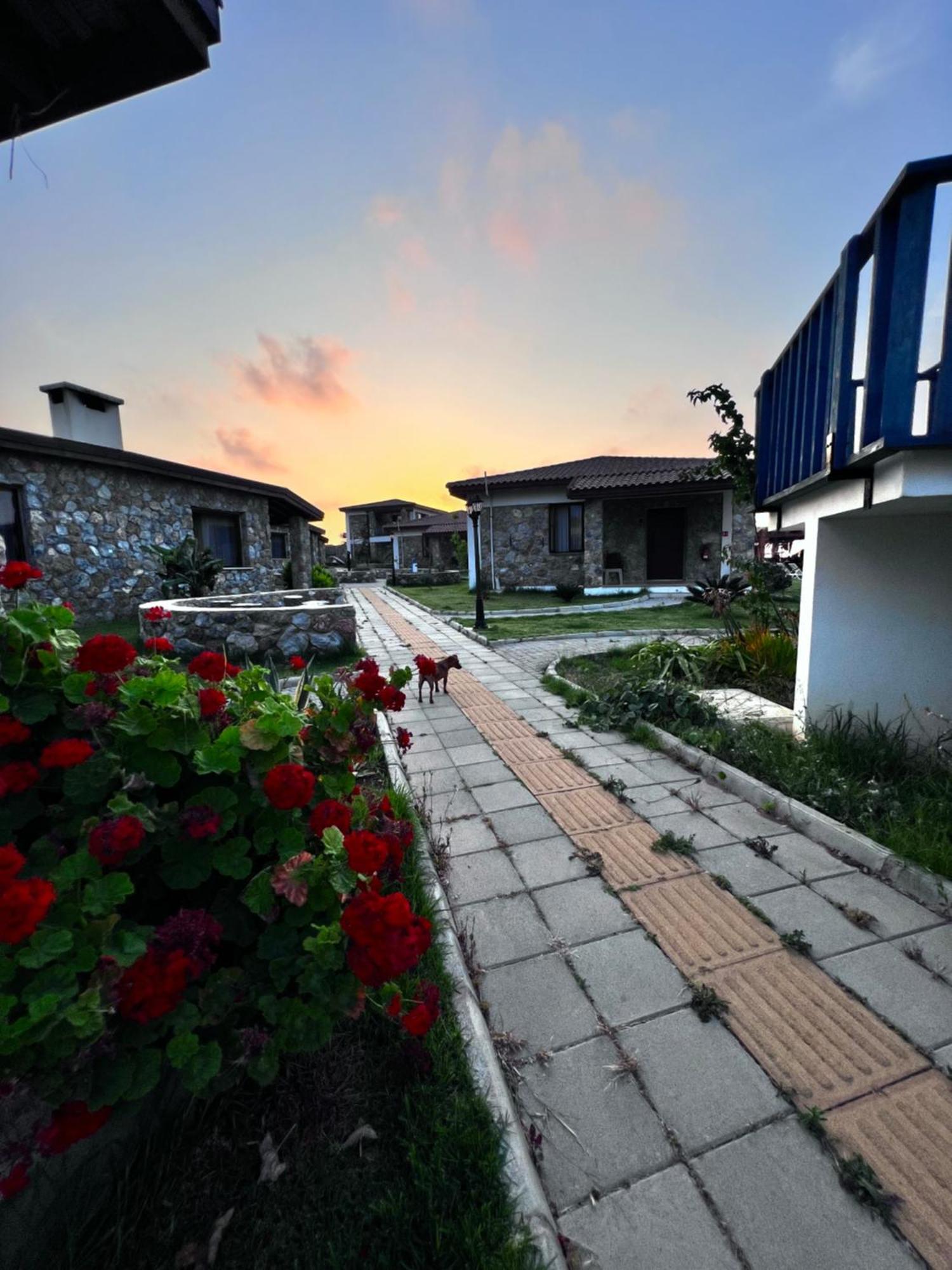 Ardic Agaci Holiday Village ฟามากุสต้า ภายนอก รูปภาพ